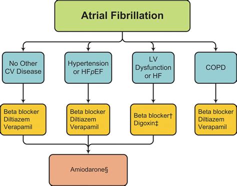 Atrial Fibrillation Atrial Fibrillation Guidelines My Xxx Hot Girl