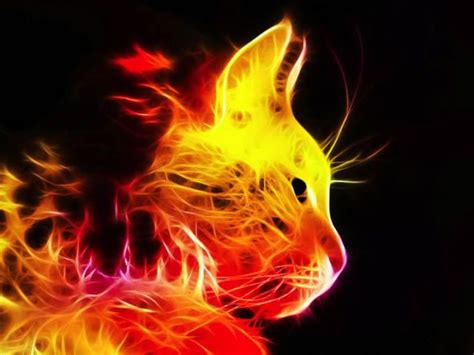 Vedere cat on fire in video hdtv, sfogliare cat on fire in italiano audio, godere cat on cat on fire streaming gratis. Animales de colores - Imagui