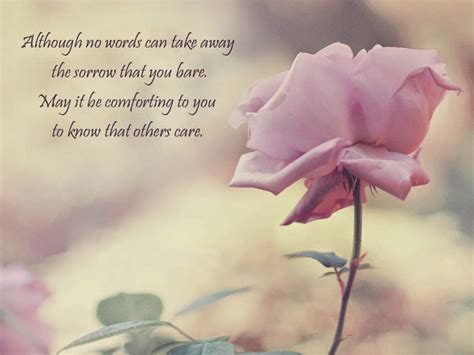 Sympathy Quotes And Saying For Losing Someone Poetry Likers