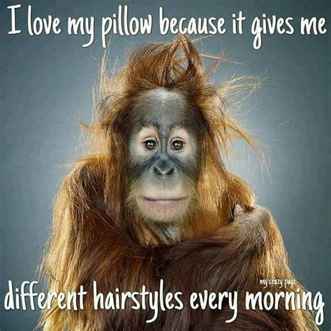 Pin By Joann Lewis On Morning Greetings Funny Animal Faces Monkeys
