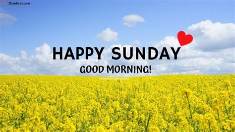53 Best Sunday Good Morning Quotes To Celebrate Sunday