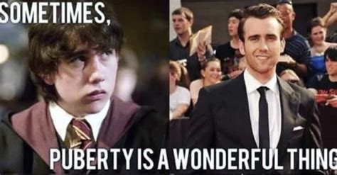 18 Neville Longbottom Memes That Prove Hes Actually The Chosen One