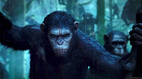 Dawn Of The Planet Of The Apes Wallpapers Wallpaper Cave