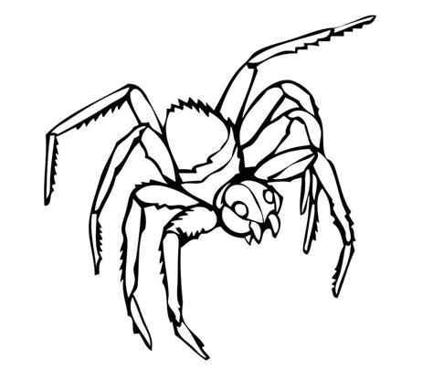 Black Widow Spider Färbung Seite Kostenlose Druckbare Malvorlagen Für