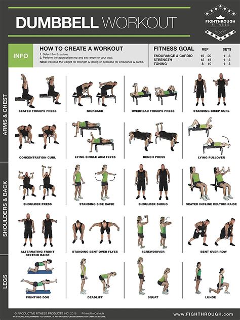 Workout Poster Dumbbell Exercise Poster Laminated Free Weight Strength