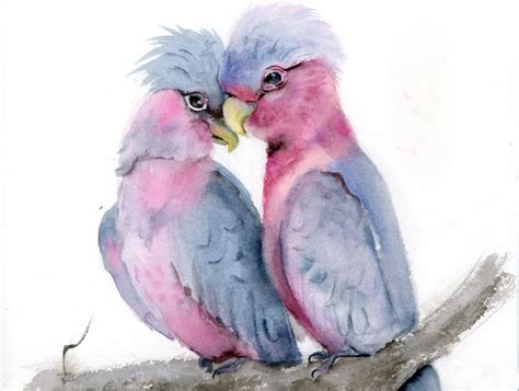 Two Pink And Blue Birds Sitting On Top Of A Tree Branch Next To Each Other
