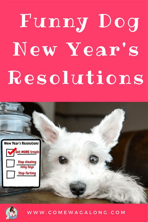 Funny Dog New Years Resolutions Come Wag Along