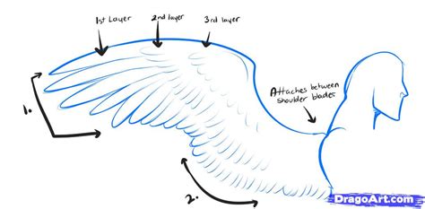 How To Draw Anime Wings Draw An Anime Angel Step 1