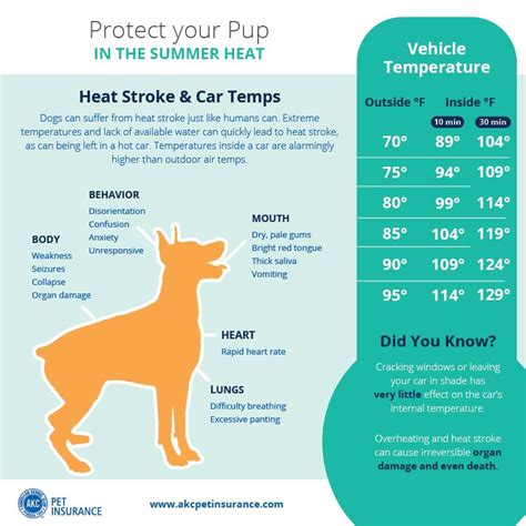 Don't leave your pets in vehicles, even with the windows open. Canine Journal on Twitter: "Dog heatstroke & car ...