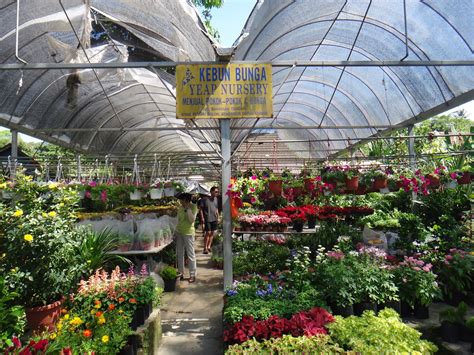 Sungai buloh is a subdistrict (mukim) of petaling district in the state of selangor, malaysia, bordering gombak district. sweetheart mama papa: Nursery@Sungai Buloh