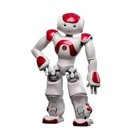 Nao Robot Academic Edition Red Rapid Online