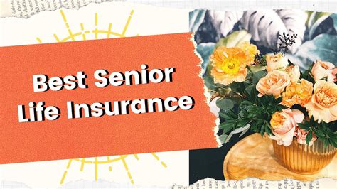 Best Senior Life Insurance Youtube