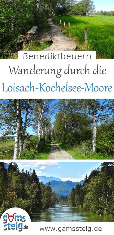 Loisach Kochelsee Moore Wanderung Von Benediktbeuern Nach Schlehdorf