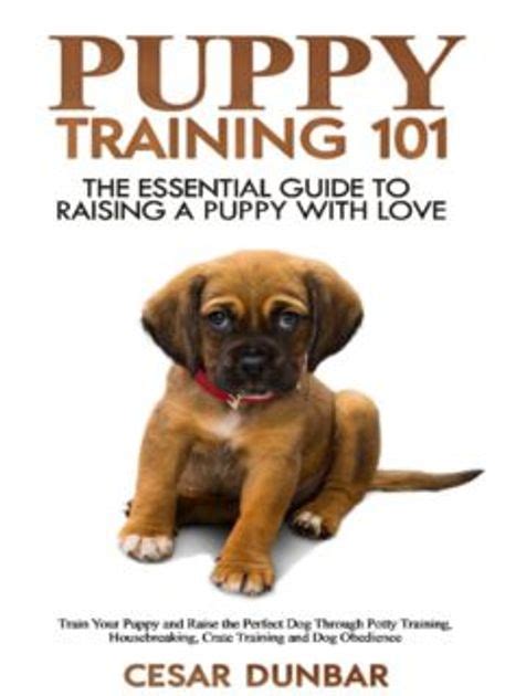 Puppy Training 101 The Essential Guide To Raising A Pdf