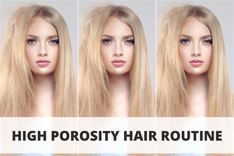 7 Must Have Products For Your High Porosity Hair Routine ⋆ Basia Restrepo
