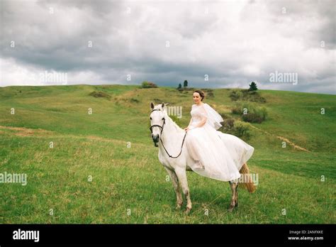 Bride In Wedding Dress Rides A White Horse Stock Photo Alamy