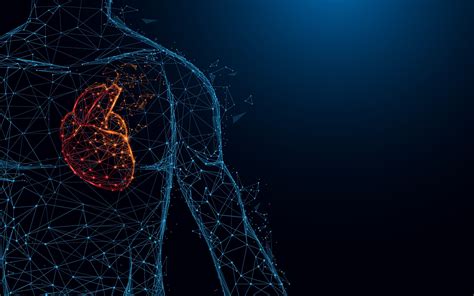 Heart In The Machine How Ai Is Transforming Cardiovascular Diagnosis