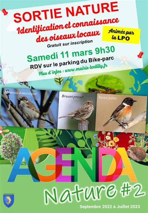 Agenda Nature 2 Sortie Nature Identification Et Connaissance Des Oiseaux Locaux Animée Par