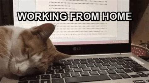The best medicine is reading funny work from home quotes and funny work. Memes Are Ready To Work From Home! (34 pics) - Izismile.com