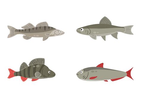 Premium Vector Set Of River Fish Fish Isolated On White Background