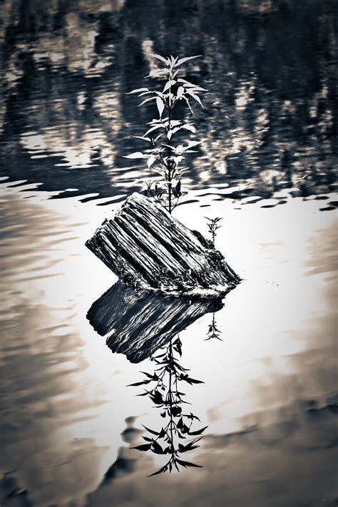 Lake Reflection Contrast · Free Photo On Pixabay