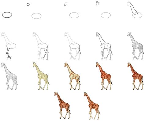How To Draw A Giraffe Our Fun And Easy Giraffe Drawing Tutorial 2022