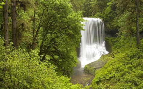 Silver Falls State Park Wallpaper Waterfalls Nature Wallpapers In 