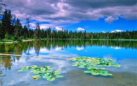 1920x1200 Nature Landscape Lake Forest Reflection Clouds Water Green