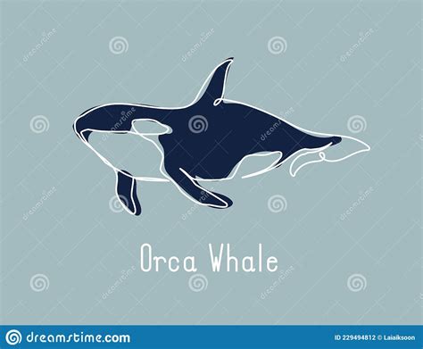 Single Continuous Line Drawing Of Orca Whale For Marine Company Logo