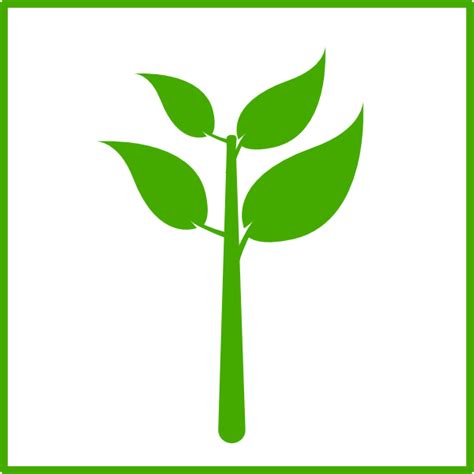 Free High Quality Plant Icon Png Transparent Background Free Download