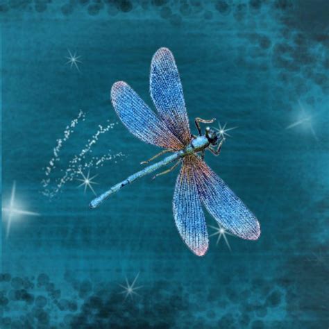Blue Dragonfly Jewellery