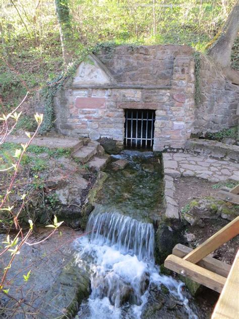 Außerdem finden sich in der erft guppys und rotwangenschildkröten.aus diesem grund versuchte der bundden bau. Erft-Radweg - Radwanderweg am idyllischen Flussufer ...