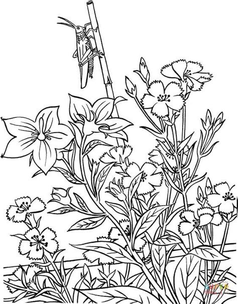 Printable coloring pages are fun and can help children develop important skills. Grasshopper In Garden coloring page | Free Printable ...