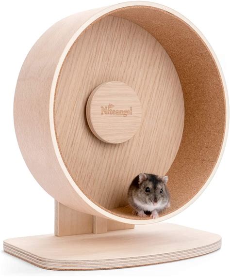 5 Best Silent Hamster Wheels Pawsify