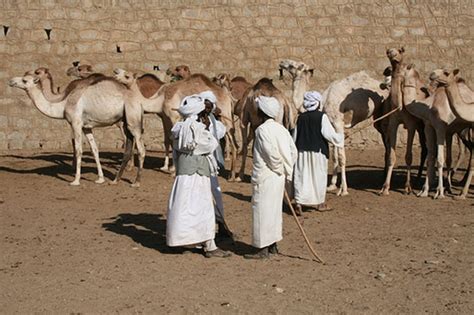 Visit Eritrea Culture