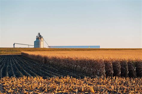 Corn Field At Farm With Grain Silo In Fall Rural Landscape By Stocksy