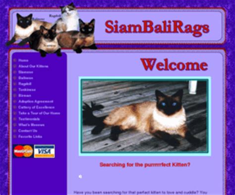 Why buy a ragdoll kitten for sale if you can adopt and save a life? Siambalirags.com: Florida Siamese Kittens for Sale FL ...