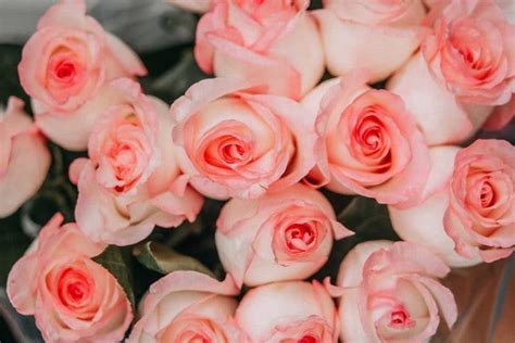 20 Of The Most Romantic Flowers For Your Love Ftd