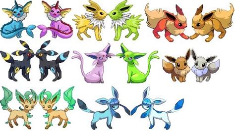 Eevee Evolution Pokémon Amino