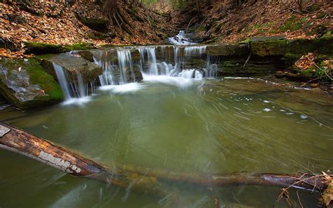 Autumn Forest Waterfall Lake Autumn Forest Fallen Leaves Hd