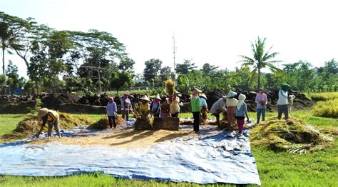 We did not find results for: Kementerian Pertanian - Stok Pangan di Lombok Timur Terus ...