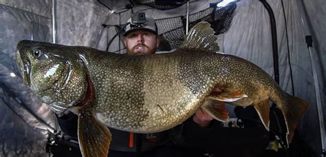 Watch Canadian Ice Fisherman Catches Giant Lake Trout Outdoor Life