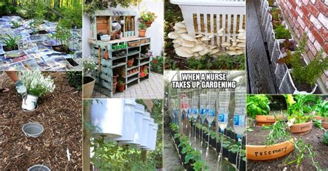 23 Insanely Clever Gardening Ideas On Low Budget Garden