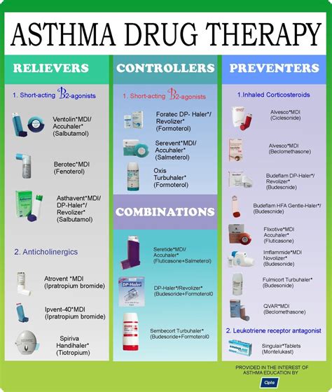 Asthma Symptoms Causes And Natural Support Strategies