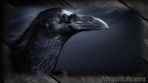 Find the best cell phone wallpaper on wallpapertag. Common Raven Wallpapers - Wallpaper Cave