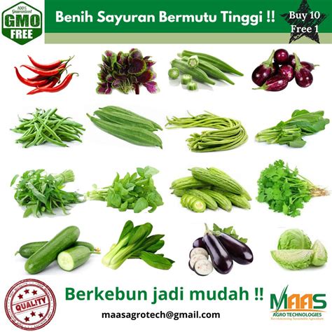 Buy Buy 10 Free 1 Non Gmo Biji Benih Sayur Sayuran Maas Agro Technologies Vegetable Seeds