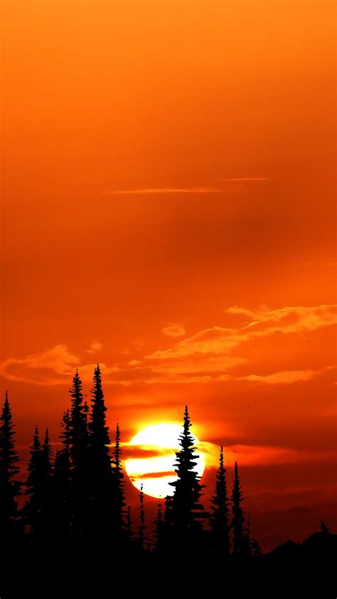 2160x3840 Relaxing Orange Sunset Evening 4k Sony Xperia Xxzz5 Premium
