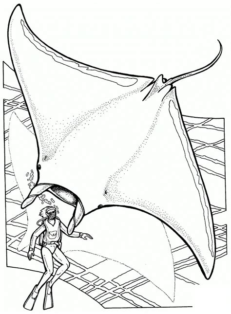 Top Diving Sites around The World and Scuba Diver Coloring Pages