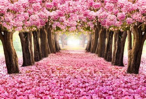 Lfeey 7x5ft Photography Background Blooming Romantic Pink
