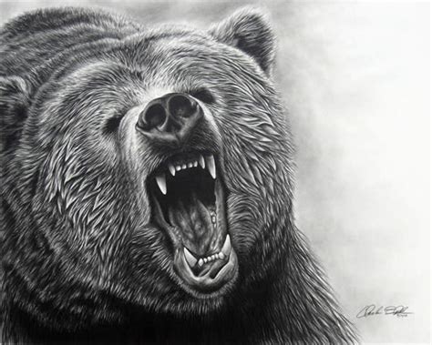 Here it is from a different angle. Realistic Animal Drawings - XciteFun.net